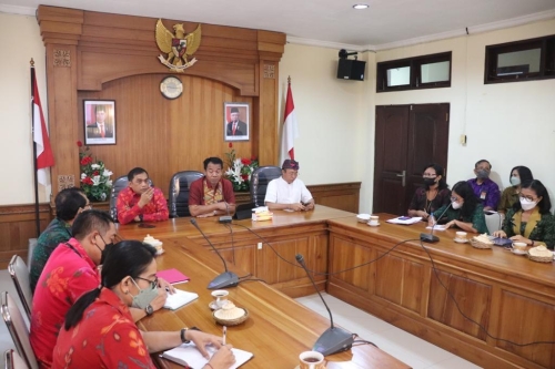 Pendayagunaan Tenaga Non ASN Diskes Bali 2