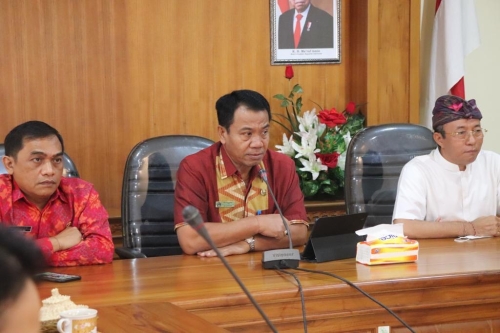 Pendayagunaan Tenaga Non ASN Diskes Bali